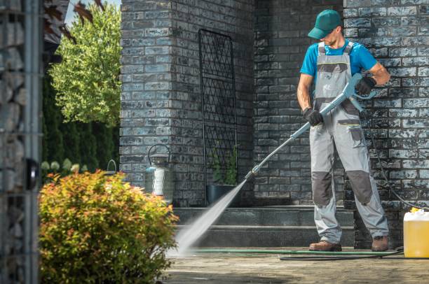 Best Gutter Cleaning  in O, MI